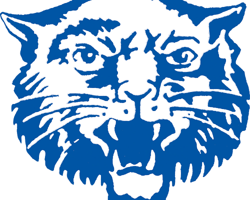 HCSD Wildcat Logo