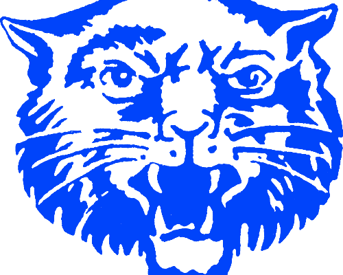HCS Wildcat Logo