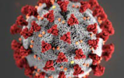 Coronavirus stock image (3/2020)
